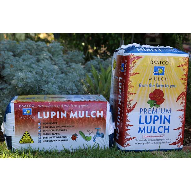 Lupin Mulch DSATCO